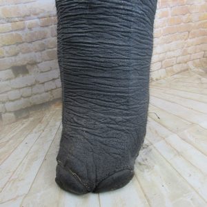 Large Victorian elephants Foot.