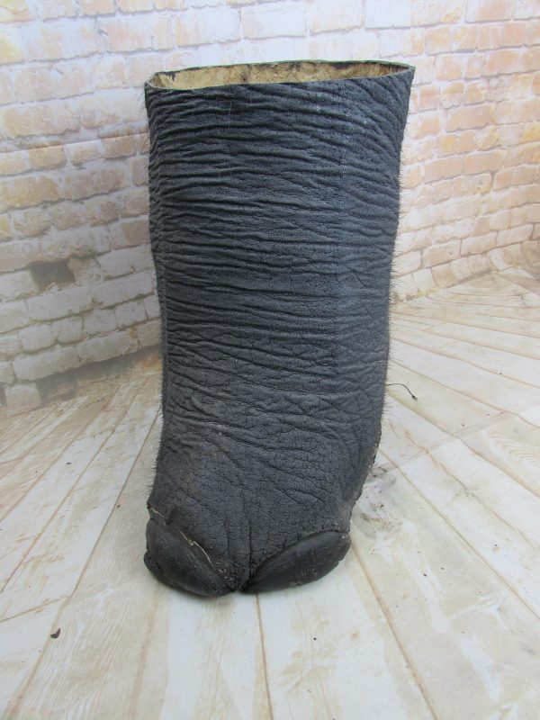 Large Victorian elephants Foot.