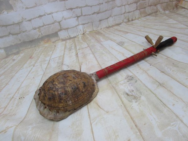 Moroccan Tortoise Instrument